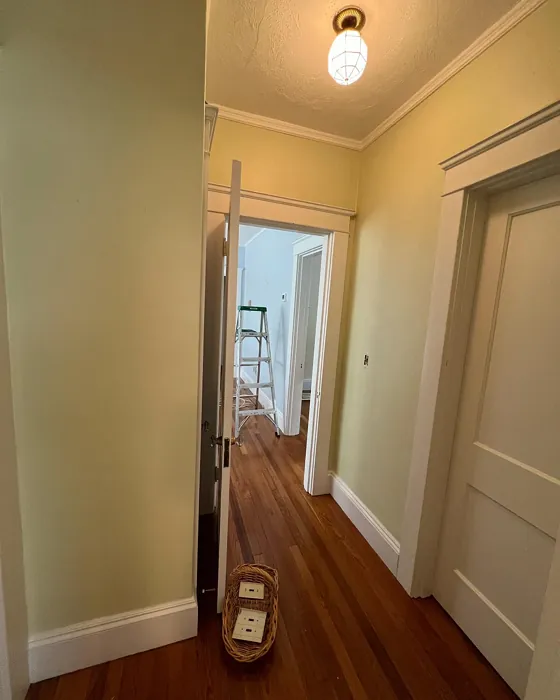 Sherwin Williams Celery hallway color