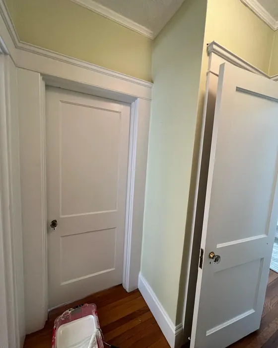 Sherwin Williams Celery hallway paint