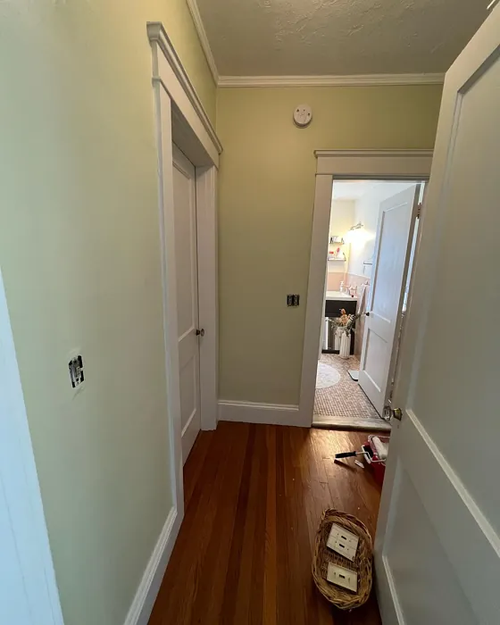SW Celery hallway paint review