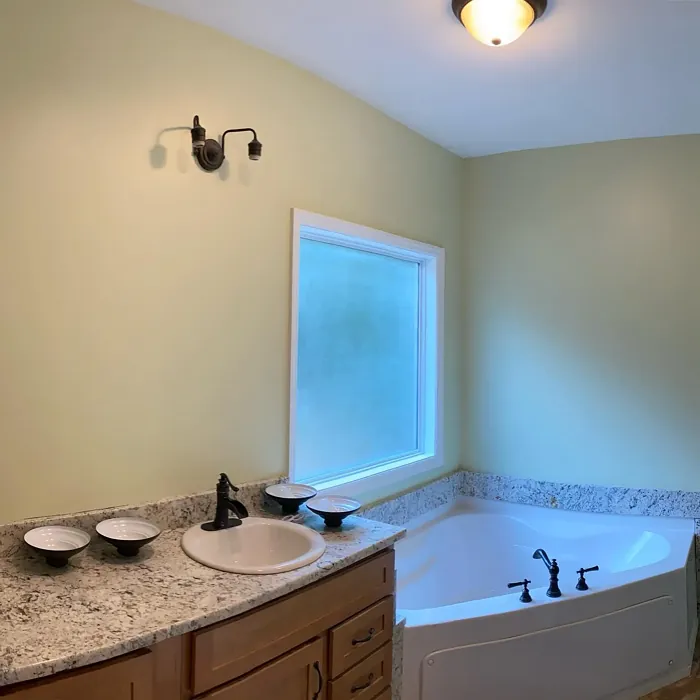 SW Celery bathroom color