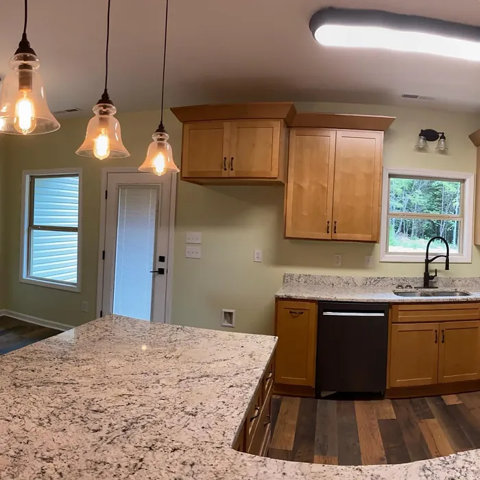 SW 6421 kitchen color review