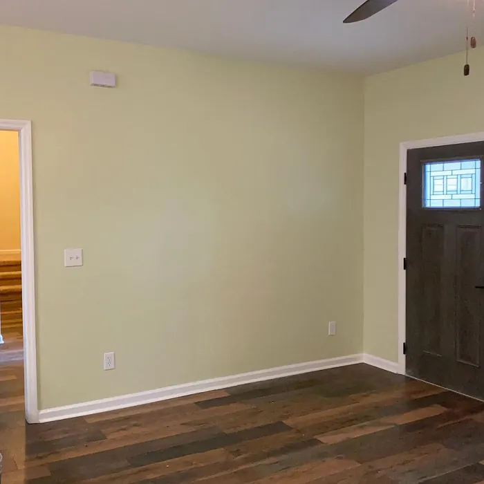 SW 6421 kitchen review