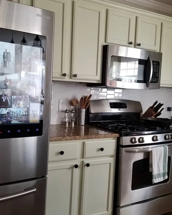 Sherwin Williams Celery kitchen cabinets color