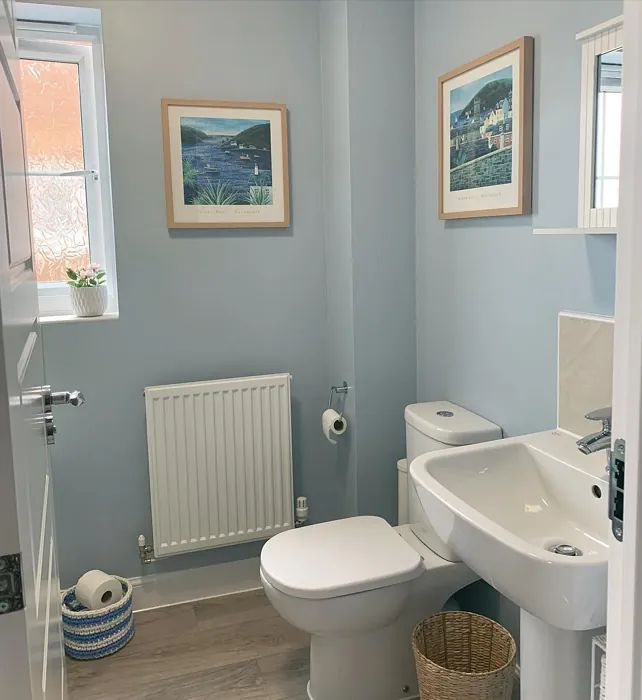 Dulux Coastal Grey bathroom color review