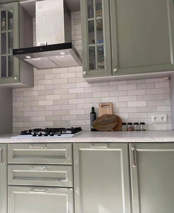 RAL Classic  Cement grey RAL 7033 applied to kitchen cabinet