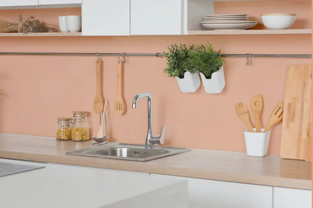 Sherwin Williams Certain Peach kitchen backsplash