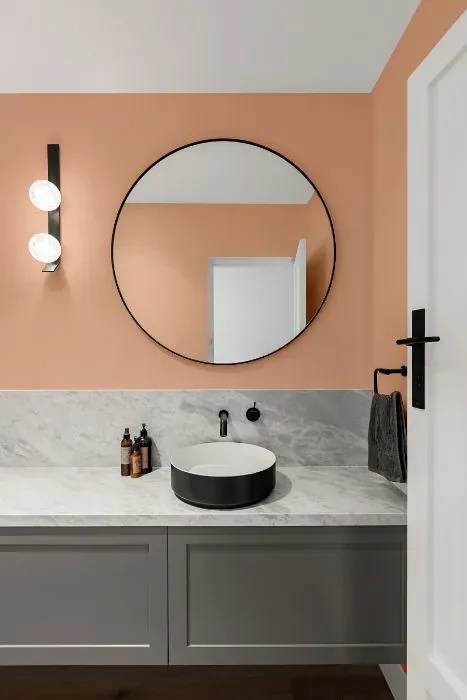 Sherwin Williams Certain Peach minimalist bathroom