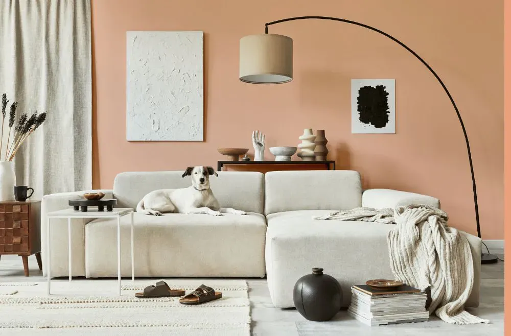 Sherwin Williams Certain Peach cozy living room