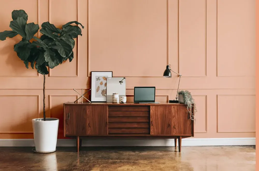 Sherwin Williams Certain Peach modern interior