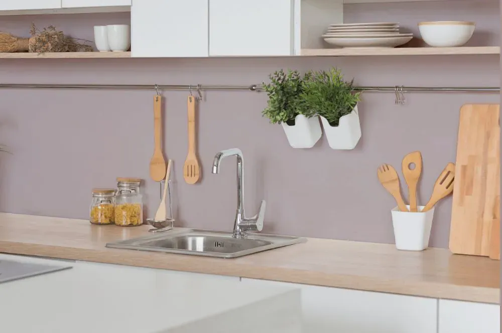 Sherwin Williams Chaise Mauve kitchen backsplash