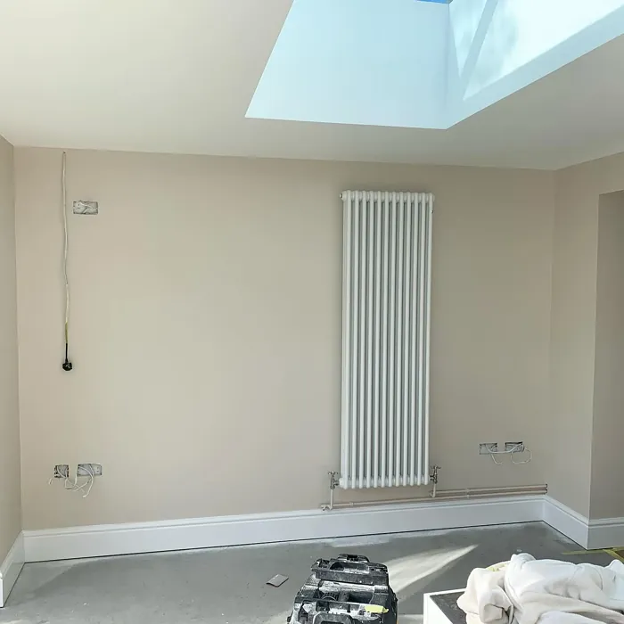 Dulux 30YY 71/073 wall paint color