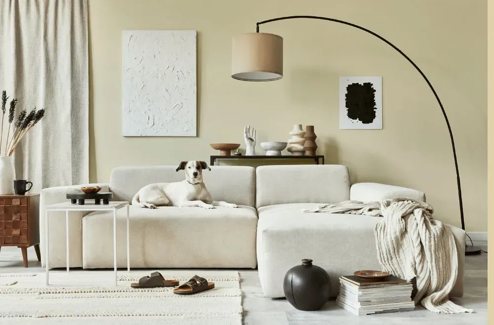 Sherwin Williams Chamomile cozy living room