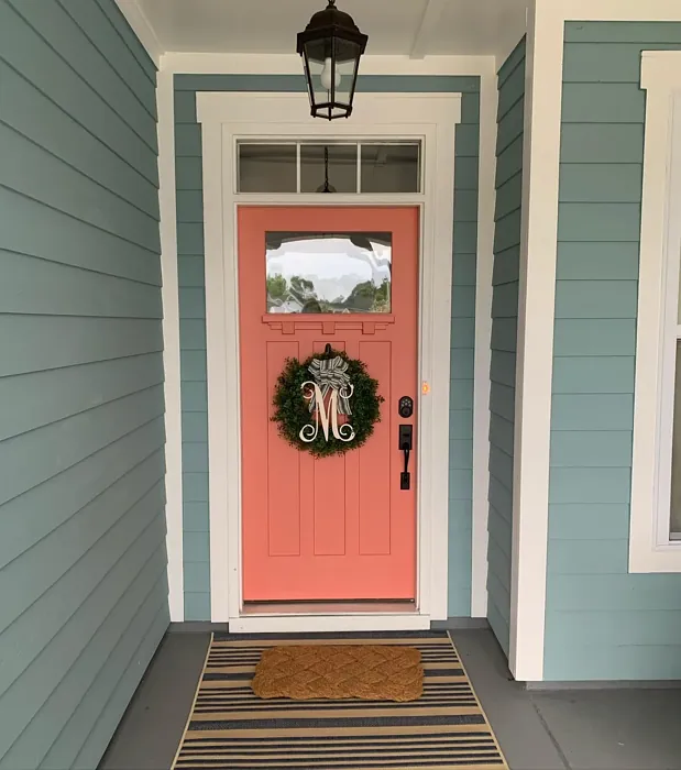 SW Charisma front door paint review