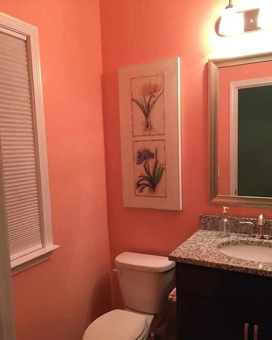 SW Charisma bathroom paint