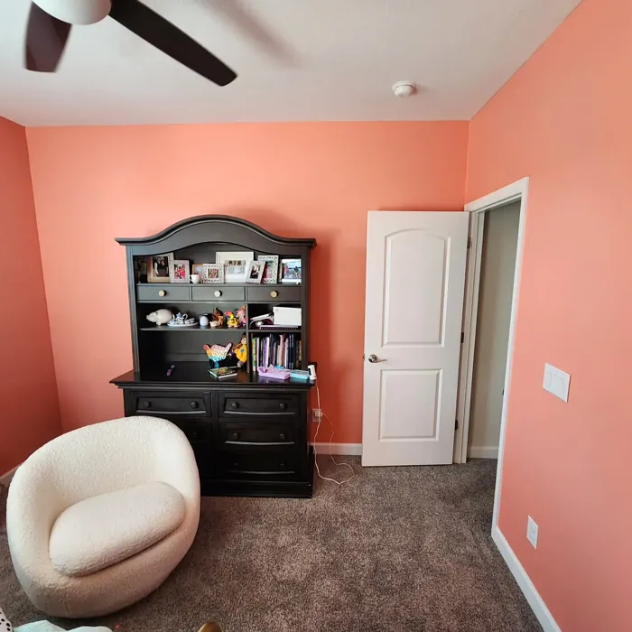 SW Charisma kids' room paint