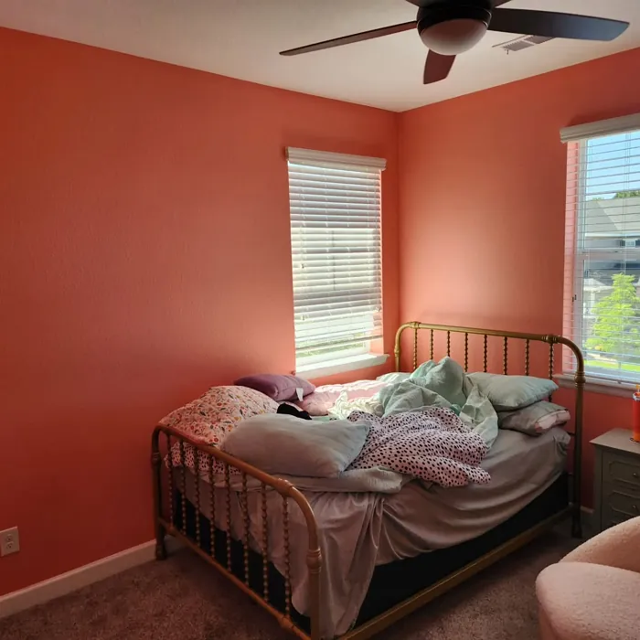 Sherwin Williams Charisma kids' room paint