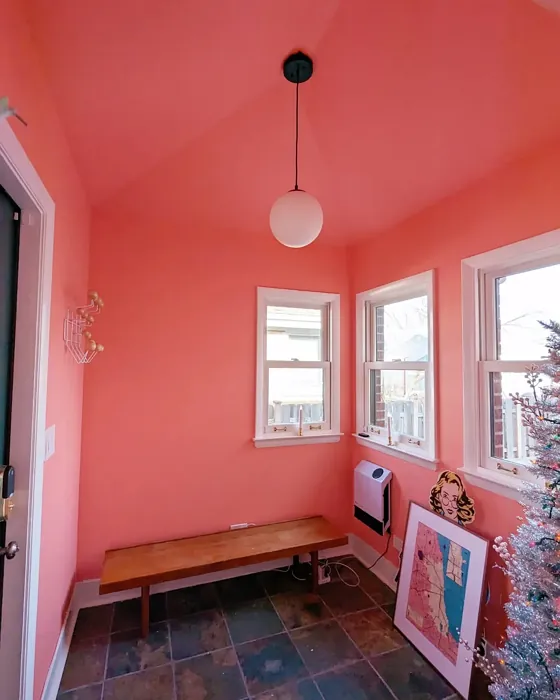 Sherwin Williams Charisma hallway color