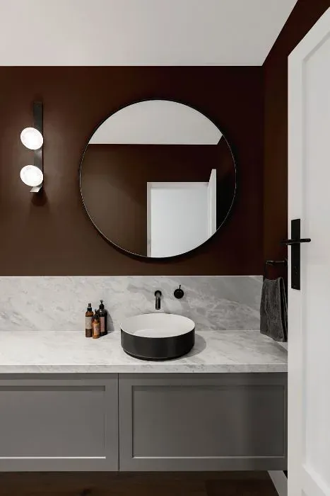 Sherwin Williams Chateau Brown minimalist bathroom