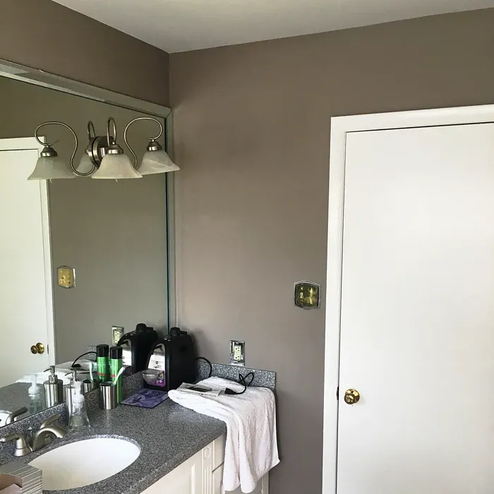 Sherwin Williams Chatura Gray bathroom color review
