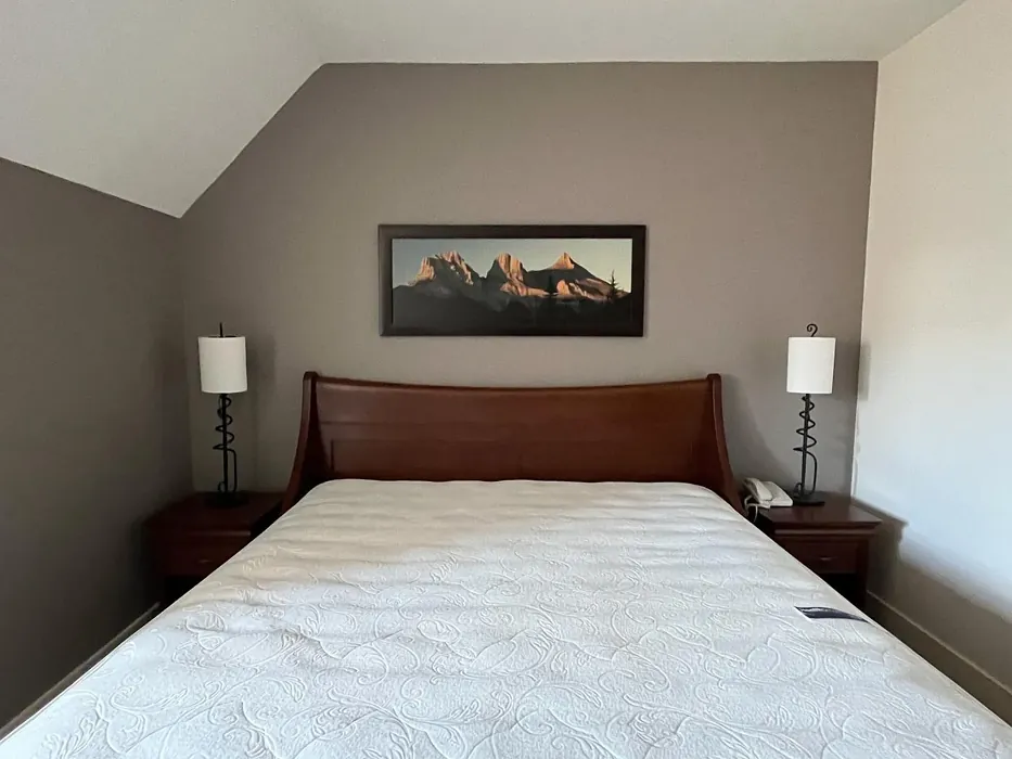 Sherwin Williams Chatura Gray bedroom color