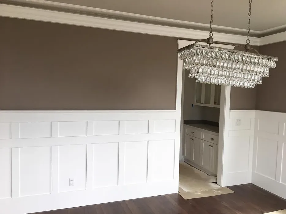 SW 9169 wall paint color