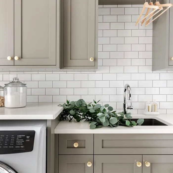 Chelsea Gray Kitchen Cabinets
