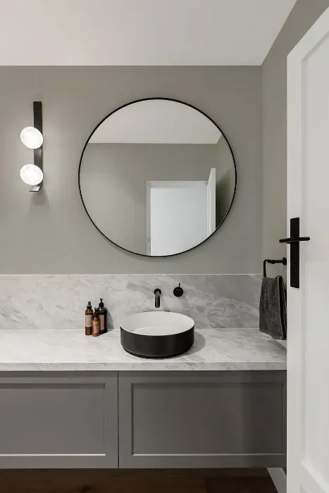 Sherwin Williams Chelsea Gray minimalist bathroom