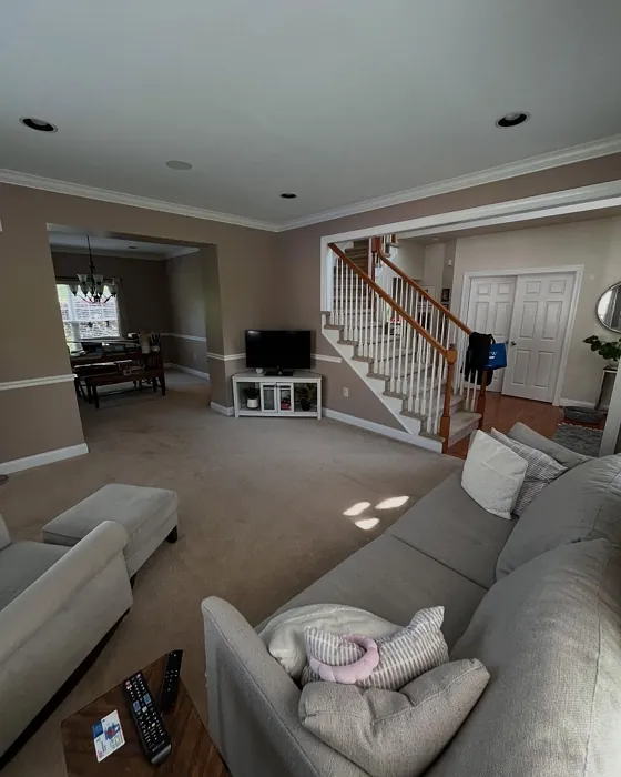 SW Chelsea Mauve living room color SW Chelsea Mauve living room color