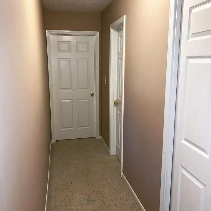 Chelsea Mauve hallway color Chelsea Mauve hallway color