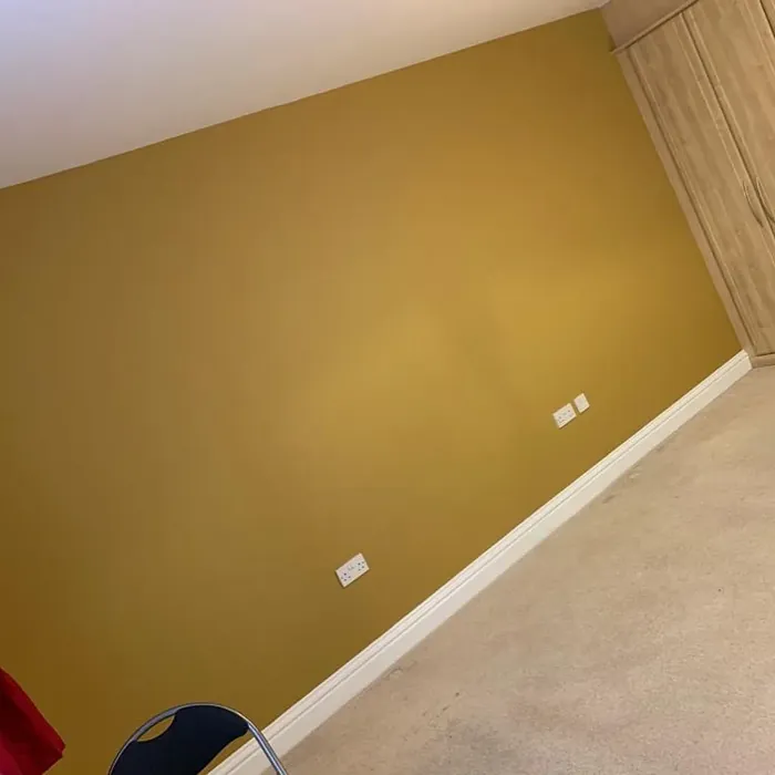 Dulux Cherished Gold accent wall 