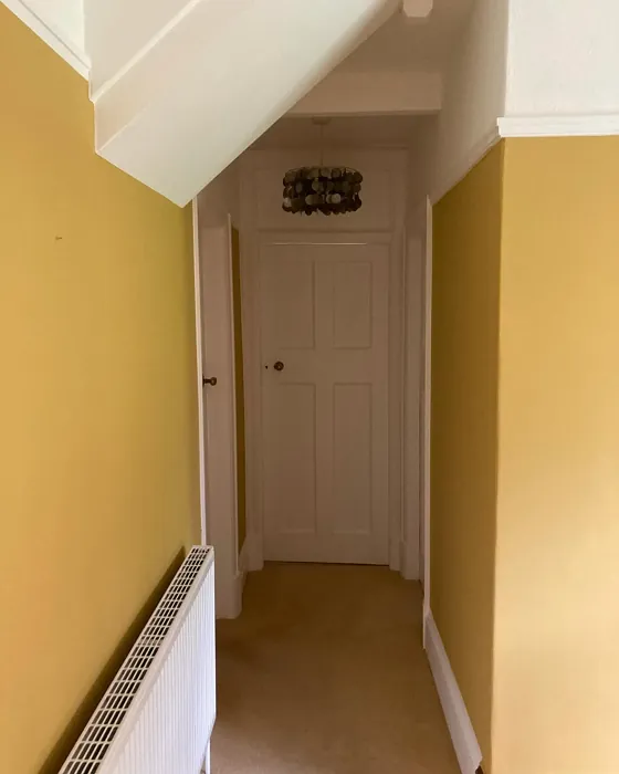 Dulux Brushed Gold hallway review
