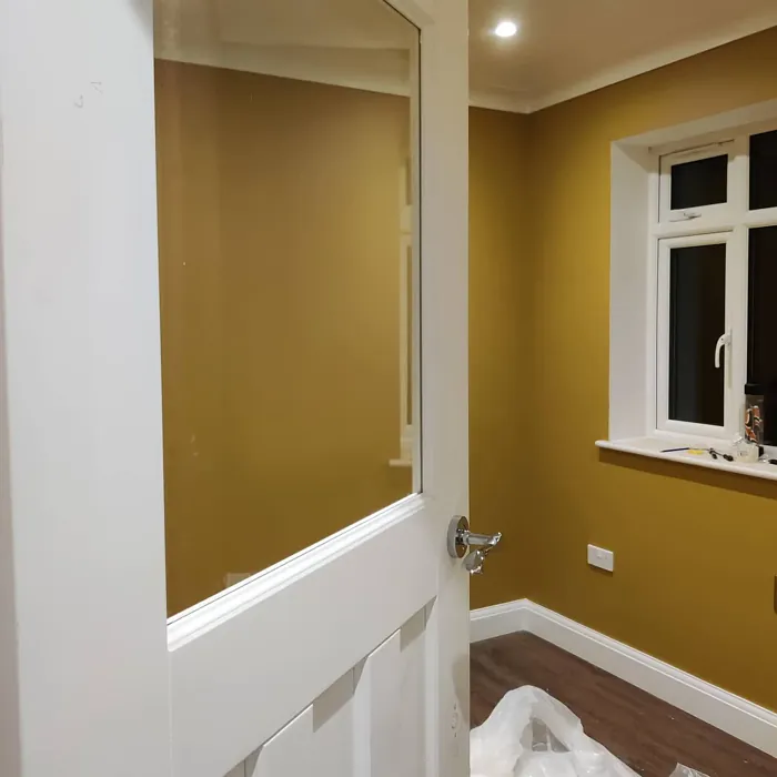 Dulux Cherished Gold wall paint 