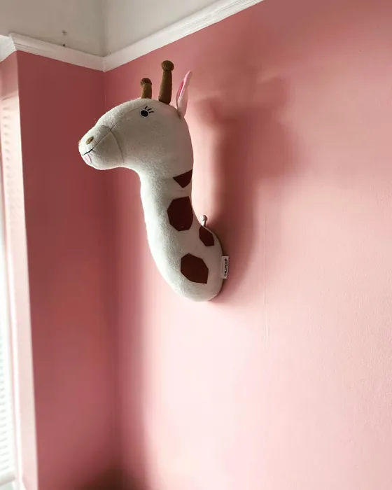 Dulux Candy Love 4 nursery color