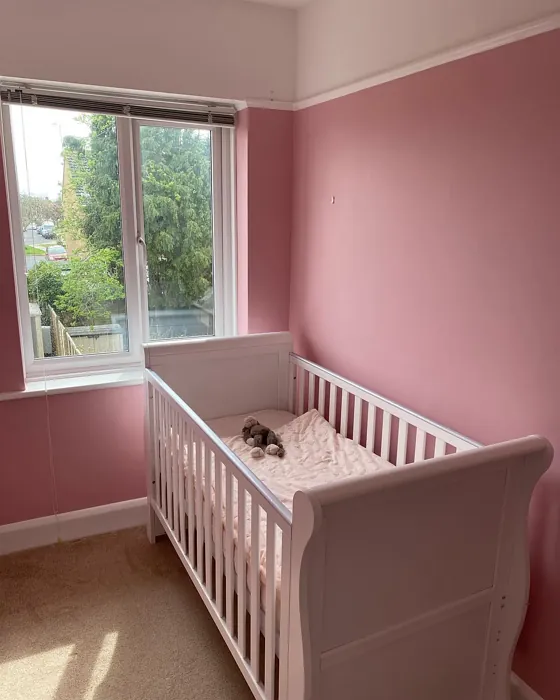Dulux Cherry Plum nursery color