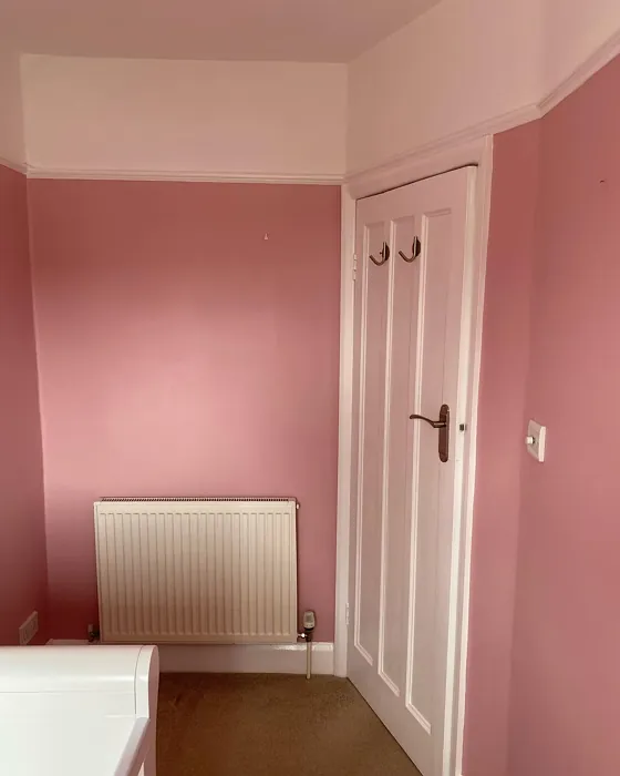 Dulux Cherry Plum nursery review