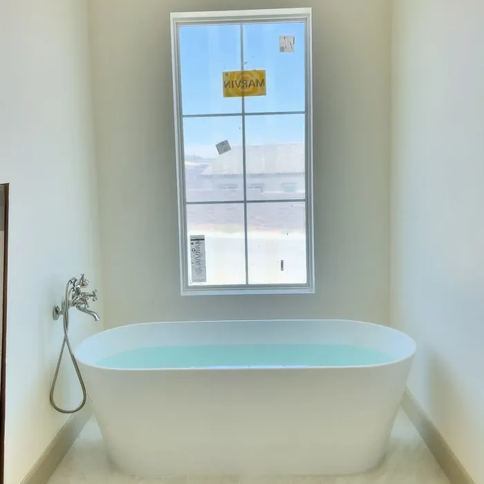 Sherwin Williams Cheviot bathroom color Sherwin Williams Cheviot bathroom color