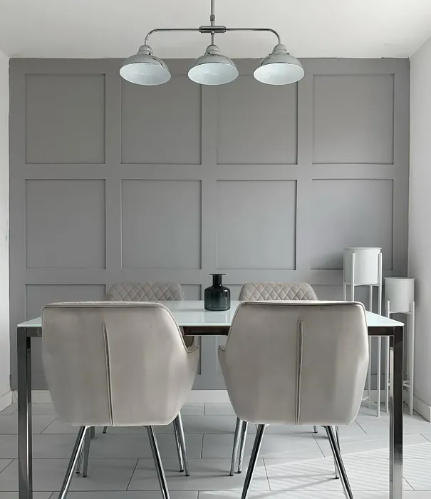 Chic Shadow dining room accent wall