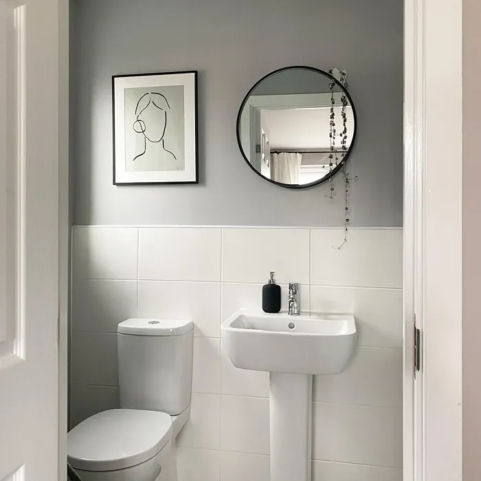 Dulux Grey Steel 2 bathroom color