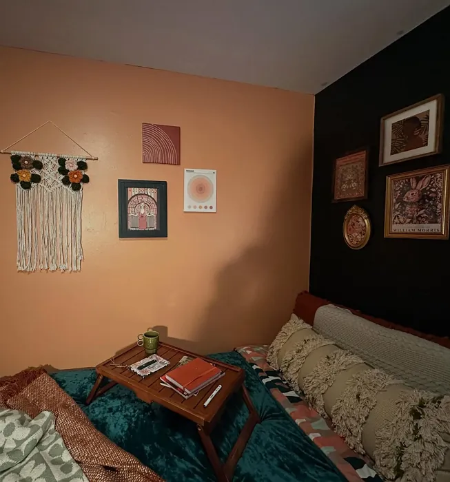 SW Chivalry Copper bedroom paint review