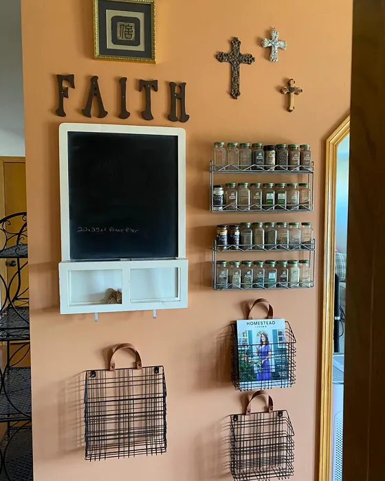 Sherwin Williams Chivalry Copper wall paint review