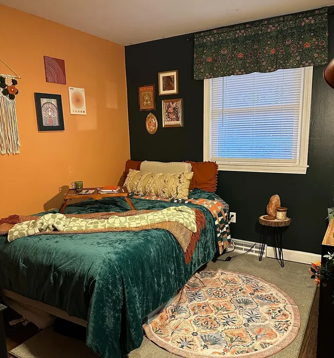 Sherwin Williams Chivalry Copper bedroom accent wall