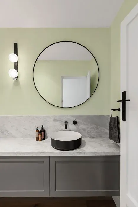 Sherwin Williams Citrine minimalist bathroom