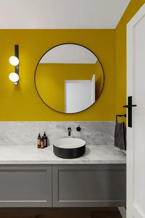 Sherwin Williams Citronella minimalist bathroom