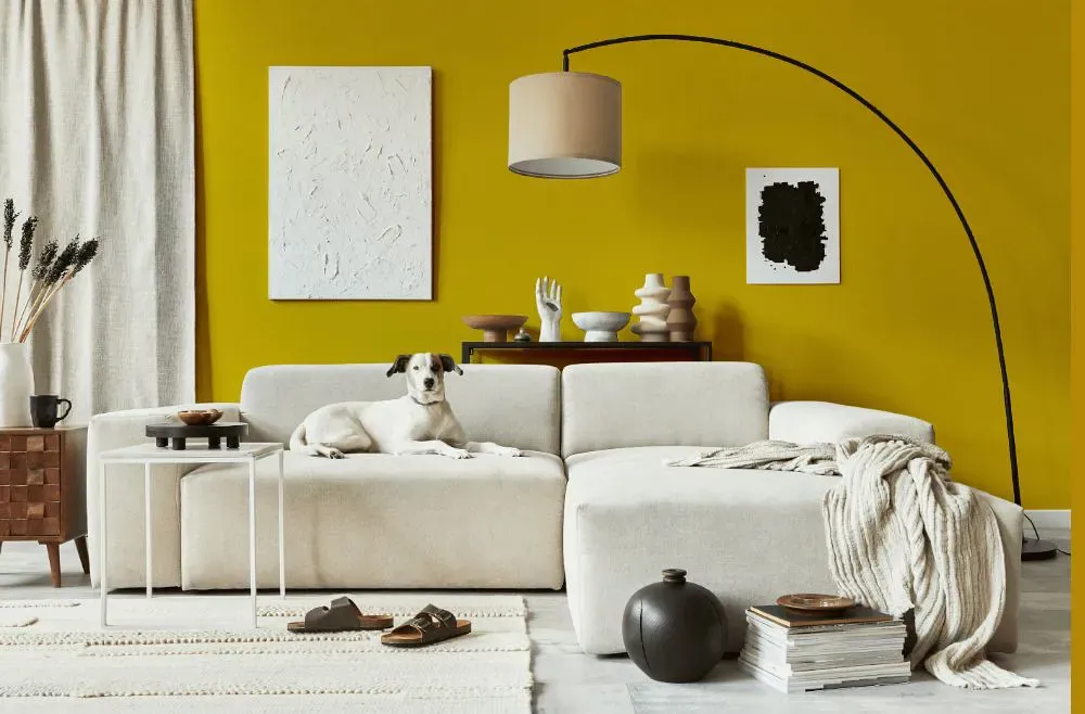 Sherwin Williams Citronella cozy living room