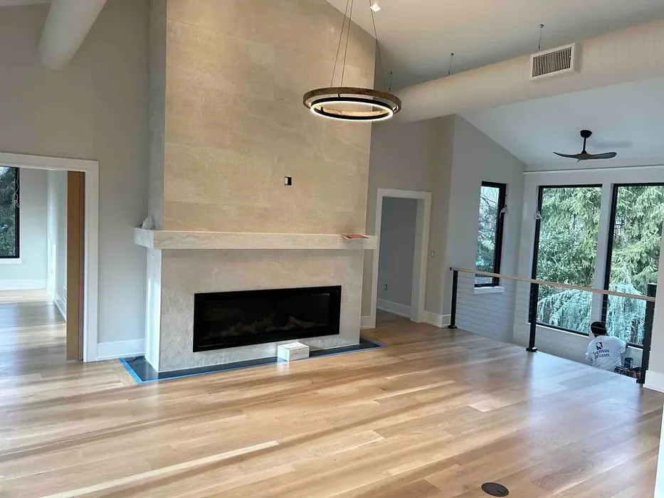 SW 7631 living room color