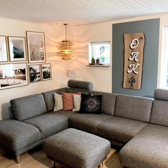 Jotun Cityscape living room accent wall