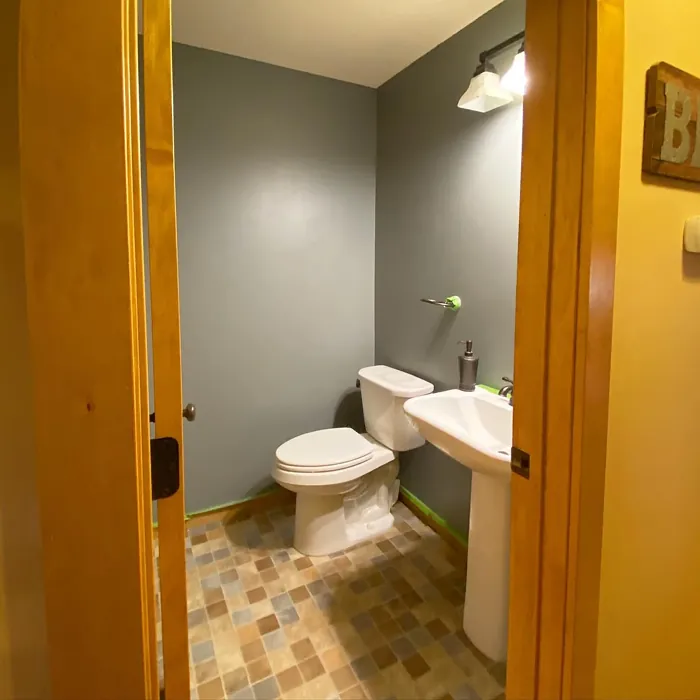 SW Cityscape bathroom color review