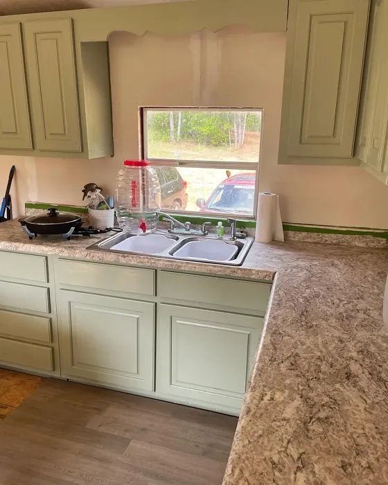 Clary Sage kitchen cabinets color review