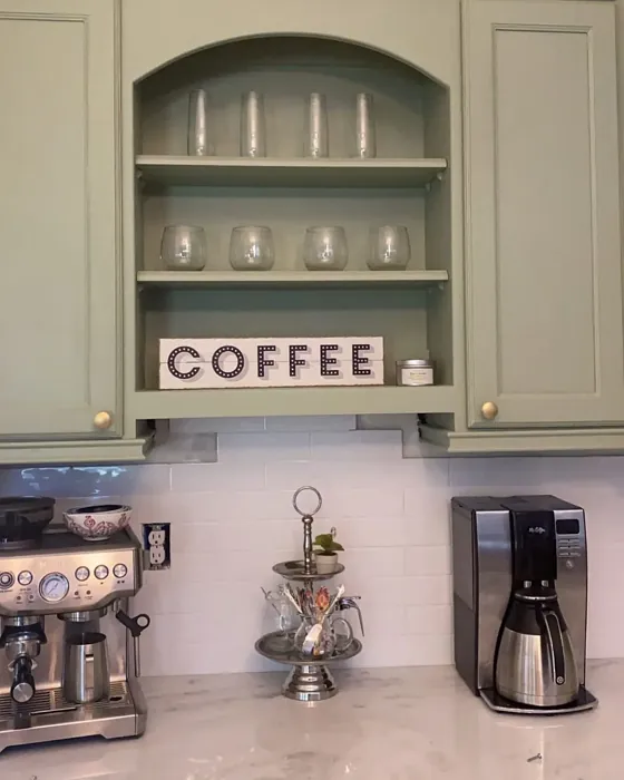 SW Clary Sage kitchen cabinets review