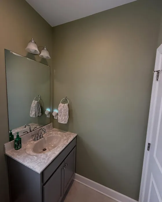 SW 6178 bathroom review